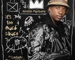 Andile Mpisane ft Lady Du, Reece Madlisa & Zuma – It’s Too Much Sauce