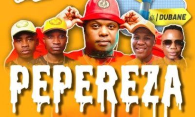 Beast Rsa ft Zuma, Reece Madlisa, Busta 929 & DJ Tira – Pepereza