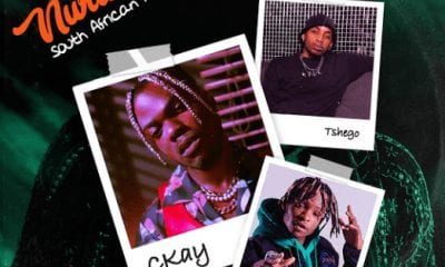 CKay – Love Nwantiti Ft. Gemini Major & Tshego (South African Remix)
