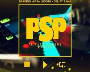 Darking, DJ Zama & Papa Luggen – PSP (Private School Project)