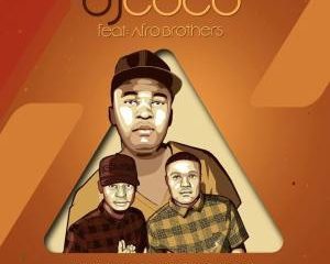 DJ Coco – Tanani (Radio Edit) Ft. Afro Brotherz