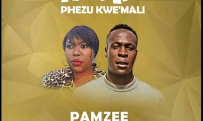 Pamzee – Ivosho Phezu Kwemali Ft. Mshoza, Tzozo