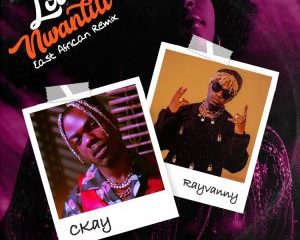 CKay – Love Nwantiti (Remix) ft Rayvanny