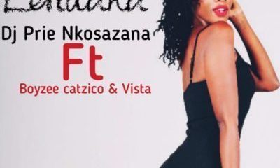 DJ Prie Nkosazana – Lenduku Ft. Boyzee, Vista & Catzico