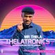 Mr Thela -Theletronics Vol. 8 (Appreciation Mix 50k Follower)