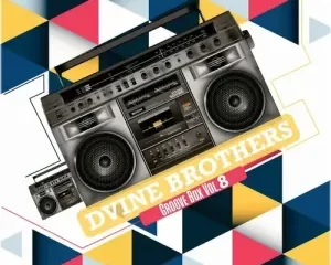 Dvine Brothers – Groove Box Mix Vol 8