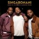 Lunga, Mduduzi Ncube, DJ Radix – Singabonani (Original Mix)