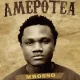Mbosso – Amepotea