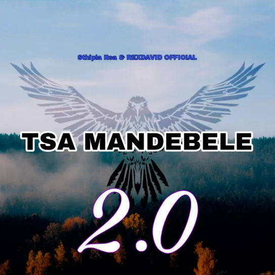 Tsa Mandebele 2.0
