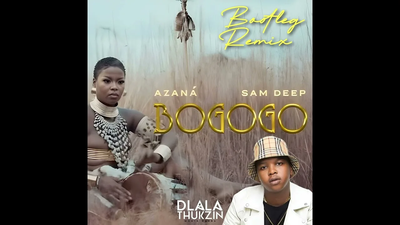 Bogogo Dlala Thukzin Bootleg (Remix)