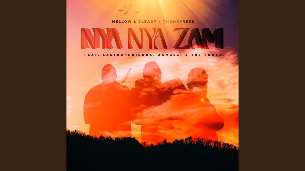 Nya Nya Zam